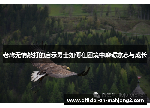 老鹰无情敲打的启示勇士如何在困境中磨砺意志与成长