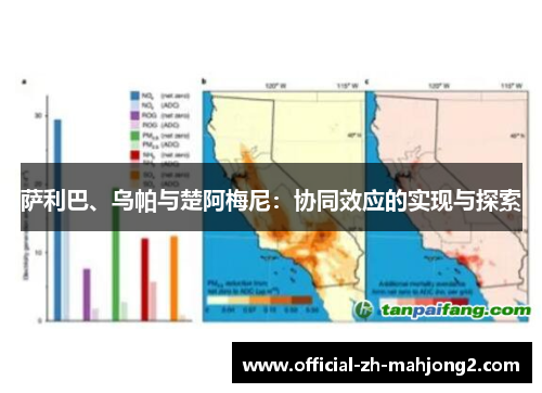 萨利巴、乌帕与楚阿梅尼：协同效应的实现与探索