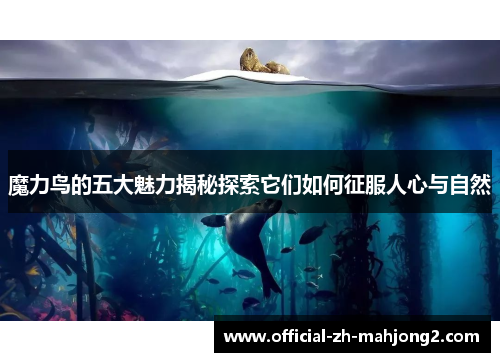 魔力鸟的五大魅力揭秘探索它们如何征服人心与自然 魔力鸟的五大魅力揭秘探索它们如何征服人心与自然