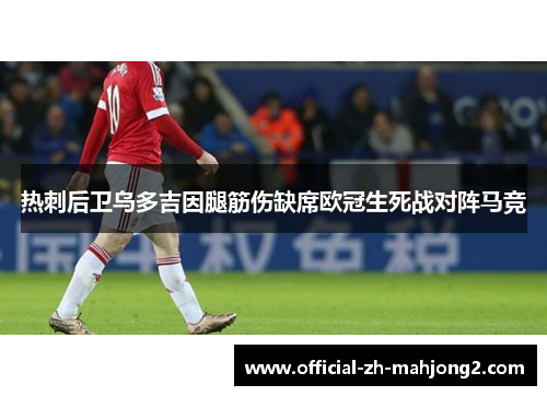 热刺后卫乌多吉因腿筋伤缺席欧冠生死战对阵马竞