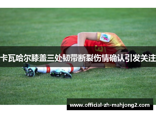 卡瓦哈尔膝盖三处韧带断裂伤情确认引发关注