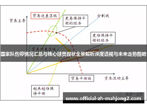 国家队伤停情况汇总与核心球员现状全景解析深度透视与未来走势前瞻
