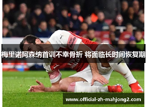 梅里诺阿森纳首训不幸骨折 将面临长时间恢复期 梅里诺阿森纳首训不幸骨折 将面临长时间恢复期